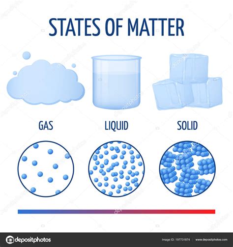 Fundamentals states of matter with molecules vector infographics ...