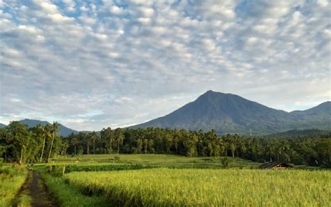 Kumpulan 20+ gambar pemandangan yang indah di indonesia ✅. Wisata Taman Langit Di Kota Banyuwangi Yang Indah ...