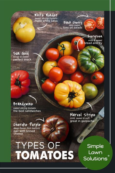 Types Of Tomatoes In 2021 Types Of Tomatoes Healthy Garden Tomato