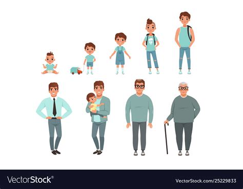 Life Cycles Man Stages Growing Up From Baby Vector Image Sexiz Pix