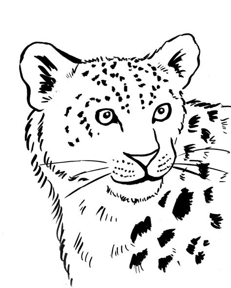 Coloriage Léopard 9742 Animaux Dessin à Colorier Coloriages à