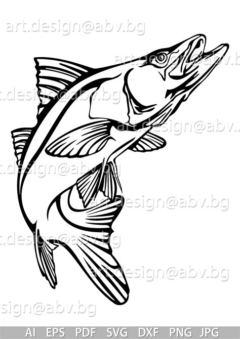 Vector Snook Fish Instant Download You Receive After Purchasing This