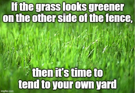 Grass Is Greener Memes And S Imgflip