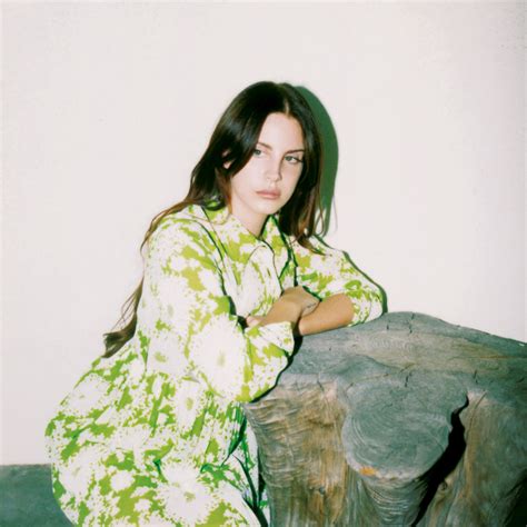 Pin By ☽𝑨𝒙𝒆𝒍 On Lana Del Rey Lana Del Rey Lana Del Rey Photoshoot