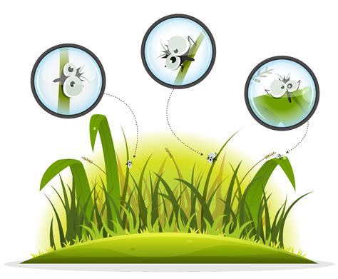 Funny Insect Character Inside Spring Grass 269330 Vector Art At Vecteezy