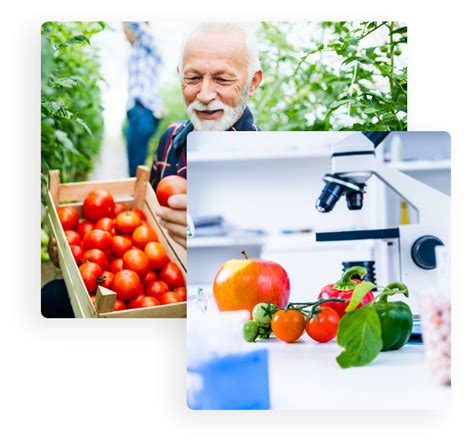 Contamination, therefore, has its greatest impact on nucleotide sequence analyses. Overview on Food, Chemical & Biological Contamination ...