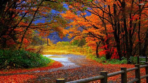 Fall Wallpaper And Screensavers Photos