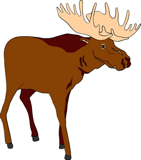 Cartoon Moose Clipart Best