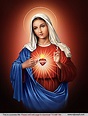 Immaculate Heart of Mary_Red_ 72 MB | Mother mary images, Virgin mary ...