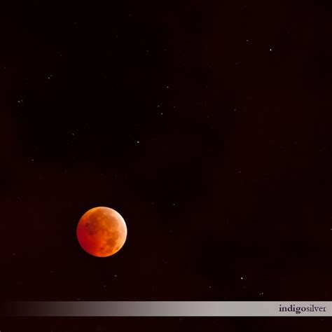 Total Lunar Eclipse On Winter Solstice Wilmington Nc Photography