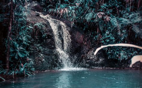 Download Wallpaper 3840x2400 Waterfall Stream Forest