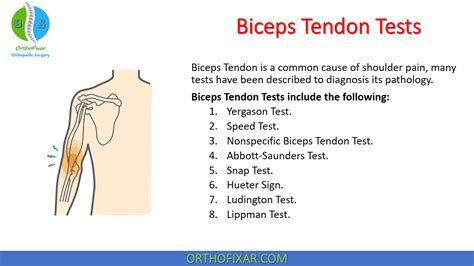Biceps Tendonitis Test Vlr Eng Br
