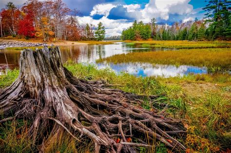 Banco De ImÁgenes Gratis Las Mejores Fotos De Paisajes Naturales I 16