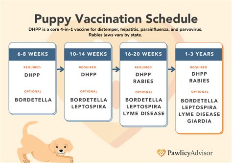 Puppy Shot Schedule Tractor Supply Everything You Need To Know