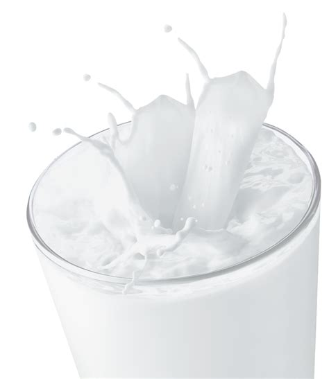 Milk Splash PNG Image File PNG All PNG All