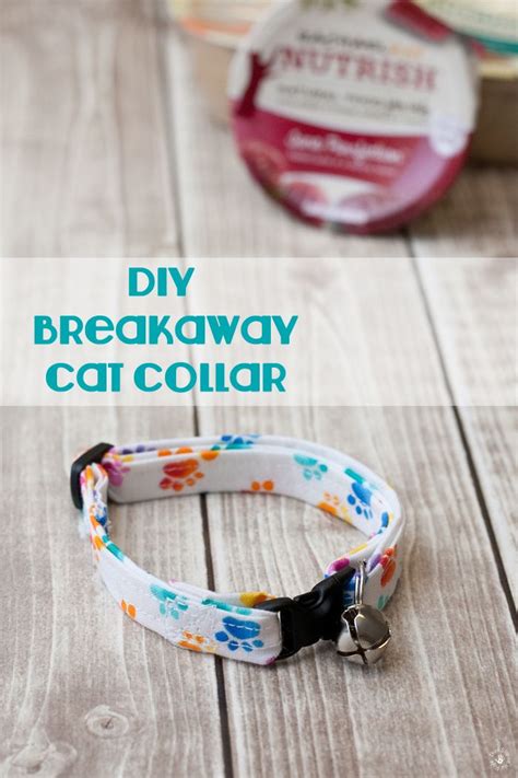 How To Create A Homemade Diy Cat Collar Diy Dog Collar