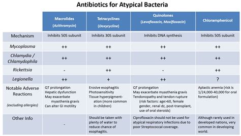 Antibiotics For Atypical Bacteria Macrolides Grepmed