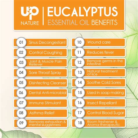 This Is What Eucalyptus Essential Oil Can Do For Younaturally Get