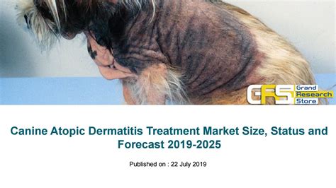 Canine Atopic Dermatitis Treatment Market Size Status And Forecast