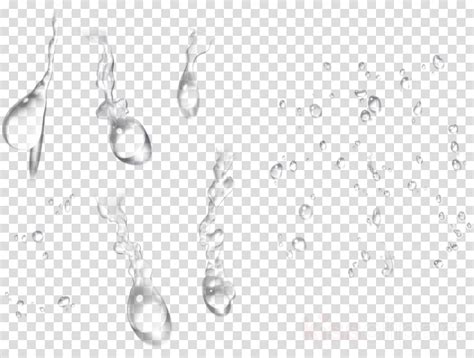 Water Drop Png Download Transparent Water Drop Png Clipart Clip Art