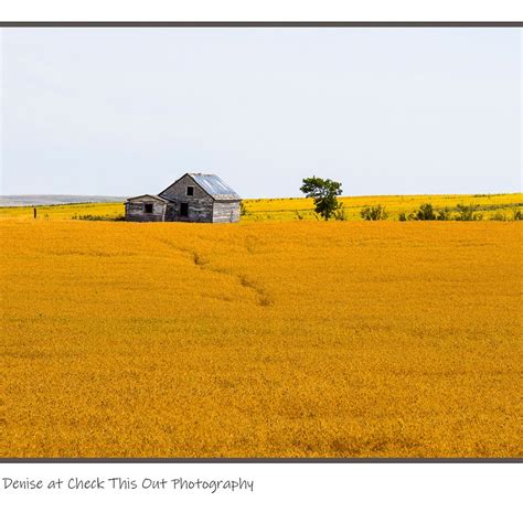 Abandoned Farmhouse Prairie Landscape Photography Earthy Etsy