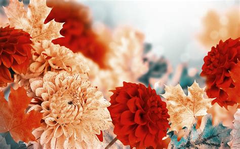 Autumn Flowers Desktop Wallpapers Top Free Autumn Flowers Desktop
