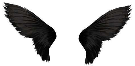 Black Wings Png Image Png All