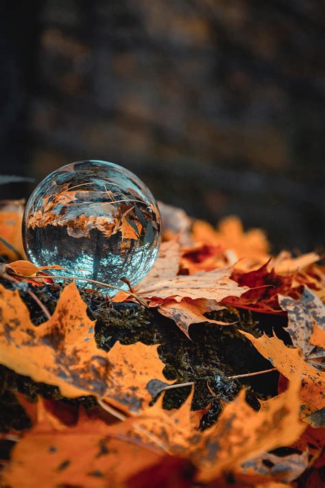 Autumn Reflection Macro Glass Ball Foliage Hd Phone Wallpaper Pxfuel