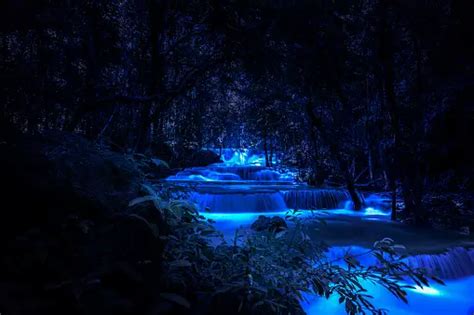 Waterfall At Night Pictures Download Free Images On Unsplash