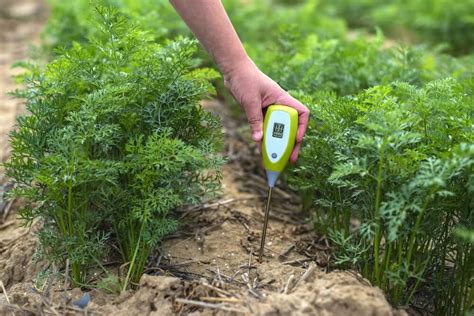 Vegetables and other plants grow best when the soil ph is optimal for the plants being grown. How to Make Soil More Acidic Organically | Kellogg Garden ...