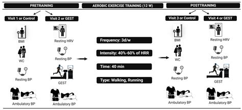 Jcdd Free Full Text The Relationship Between Postexercise Hypotension And Heart Rate