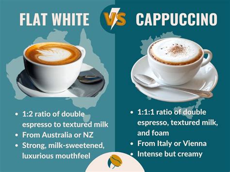Cortado Vs Flat White How To Tell Them Apart With Ease