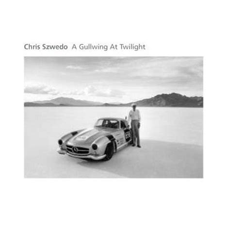 A Gullwing At Twilight Cds And Vinyl