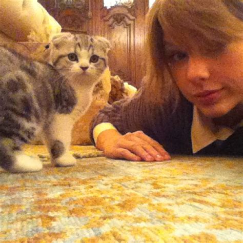 Taylor Swift Cat Meredith Instagram