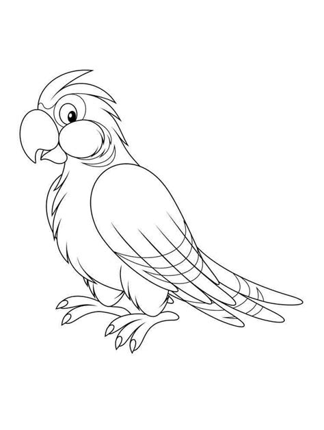 Parrot Bird Coloring Page Coloring Pages