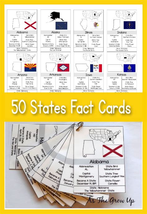 50 States Facts Cards Learning States Interactive Notebooks Social