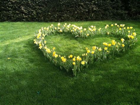 Heart Shaped Flower Bed Daffodils Beautiful Gardens Garden Inspiration