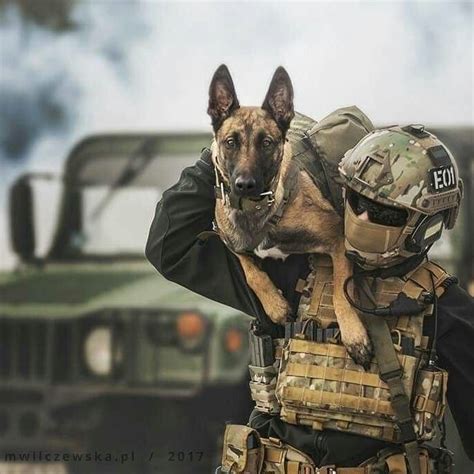 Military Working Dogs Military Dogs Military Women Military Gear