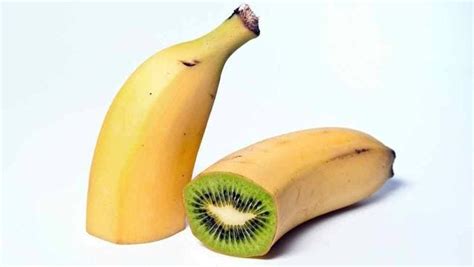 Fake News How To Create A Hybrid Kiwi Banana Fruit By Isis Roque
