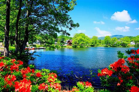 Beautiful Nature wallpaper ·① Download free full HD wallpapers for