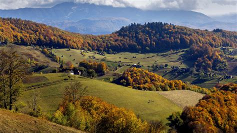 Autumn Landscape Hills In Romania County Traditional Village Windows
