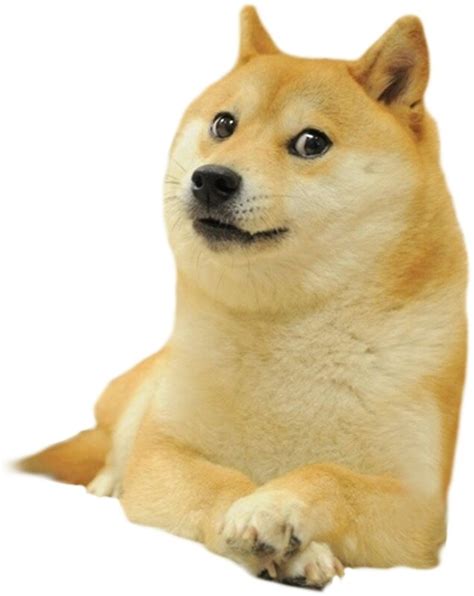 Doge Meme Original Dog