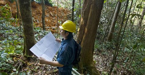 How Nature Can Help Heal Our Planet