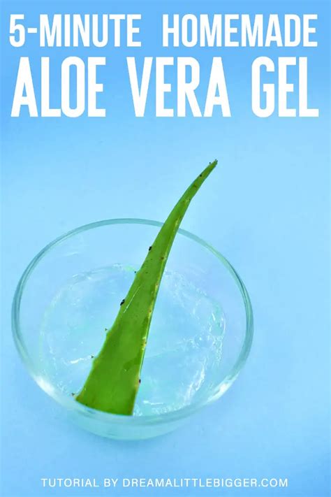 It Only Takes Minutes Of Effort To Make Homemade Aloe Vera Gel See