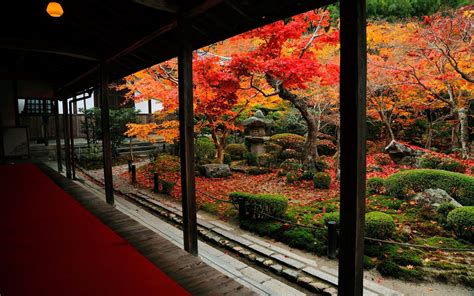 Courtyard And Autumn Leaves Enkoji Temple Autumn Wallpaper Preview
