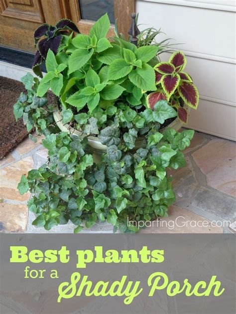 Best Plants For A Shady Porch Porch Plants Porch Flowers Potted