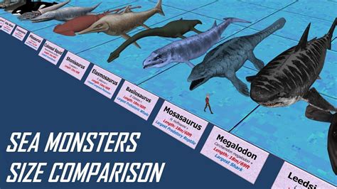 Megalodon Vs Whale Shark Size Top Answer Update