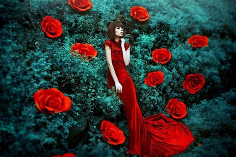 Обои на рабочий стол Девушка в красном платье стоит у куста с розами обои для рабочего стола