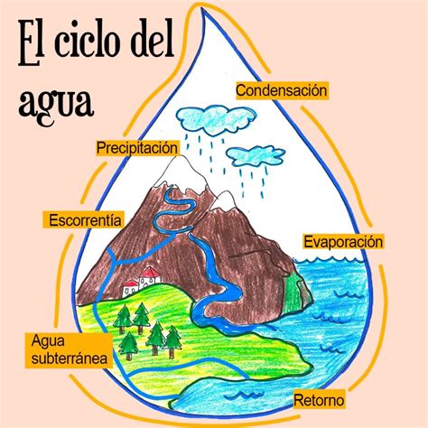 El Ciclo Del Agua Continuo Conciencia Verde