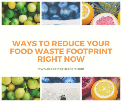 Ways To Reduce Your Food Waste Footprint Right Now Decoding Biosphere